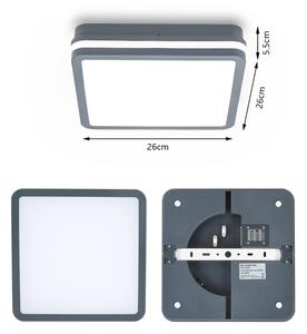 Brilagi - BENE LED vonkajšie svietidlo so senzorom, 24 W, 230 V, 26x26 cm, IP54