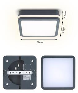 Brilagi - LED vonkajšie svietidlo so senzorom BENE LED/18W/230V 22x22 cm IP54