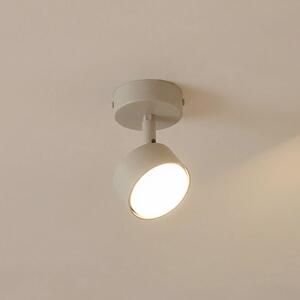 Stropné bodové svetlá NEMO, 1-pl., šedo-béžový, pohyblivý, GX53, Krémová / jantárovo žltá, Obývacia izba / jedáleň, kov, Moderný, Stropné svetlo polkruhové s priestorom