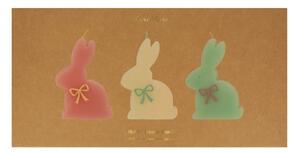 Sviečky v súprave 3 ks doba horenia 2 h s veľkonočným motívom Bunny – Meri Meri