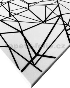 3D panel 0066, cena za kus, rozmer 50 cm x 50 cm, CRYSTAL čierno-biely, IMPOL TRADE