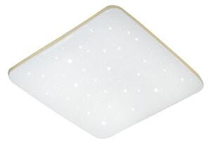 LED Stmievateľné stropné svietidlo MANA LED/36W/230V 2700-6500K + diaľkové ovládanie