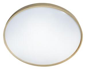 LED Stmievateľné stropné svietidlo DRINA LED/36W/230V 2700-6500K +dálkové ovládanie