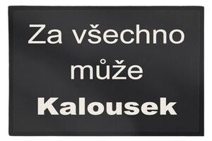 GDmats Rohožka Kalousek 40x60 cm – na von aj na doma - 40x60 cm