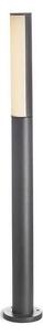 RED - Design Rendl - R10548 - LED Vonkajšia lampa VADIS LED/8W/230V IP54