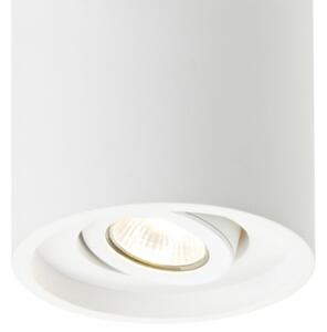 RED - Design Rendl - R10454 - Bodové svietidlo COLES 1xGU10/50W/230V