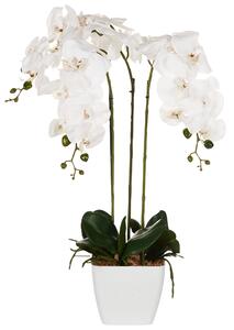 Umelá rastlina v kvetináči orchidea zelená a biela syntetický materiál 59 cm dekorácie doplnky interiér