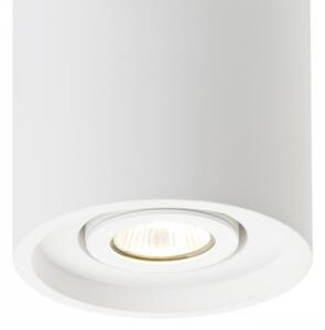 RED - Design Rendl - R10454 - Bodové svietidlo COLES 1xGU10/50W/230V
