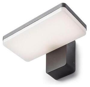 RED - Design Rendl-R11947- LED Vonkajšie nástenné svietidlo RINA LED/12W/230V IP65