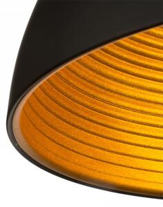 RED - Design Rendl - R11766 - Luster na lanku CARISSIMA 1xE27/42W/230V