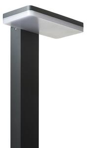 RED - Design Rendl - R12515 - LED Vonkajšia lampa RINA LED/12W/230V IP44