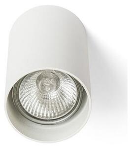 RED - Design Rendl - R12667 - Bodové svietidlo GAYA 1xGU10/35W/230V biela