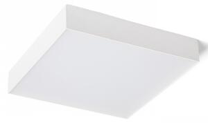 RED - Design Rendl - R12850 - LED Stropné svietidlo LARISA LED/30W/230V biela