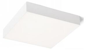 RED - Design Rendl - R12850 - LED Stropné svietidlo LARISA LED/30W/230V biela