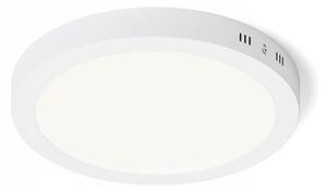 RED - Design Rendl - R12973 - LED Stropné svietidlo SOCORRO LED/24W/230V