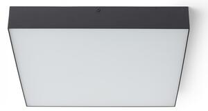 RED - Design Rendl - R13490 - LED Stropné svietidlo LARISA LED/50W/230V čierna