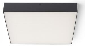 RED - Design Rendl - R13490 - LED Stropné svietidlo LARISA LED/50W/230V čierna