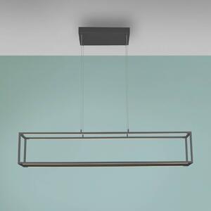 Paul Neuhaus LED závesné svietidlo Conni, čierna, 130 cm,, Čierna, Obývacia izba / jedáleň, Hliník, Moderný, Závesné svietidlo