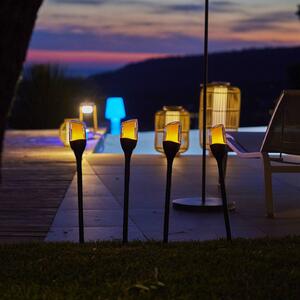 Lumisky Solárna LED lampa s kolíkom do zeme FARELY, čierna, výška 60 cm, sada 4 ks, Čierna, Plast, Moderný, Vonkajše bodové svietidlo / bodateľné do zeme