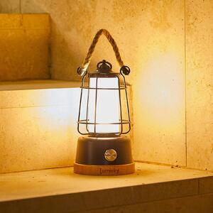 Lumisky Stolová LED lampa na batériu Wildy, čierna/hnedá, výška 23 cm, kovová, Čierna, kov, Lampáš