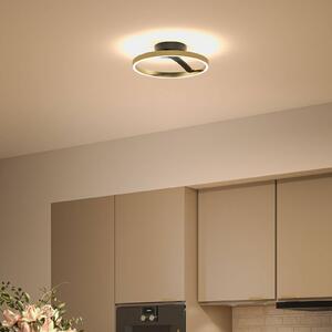 Paulmann Stropné LED svetlo Melira, čierne/zlaté, Ø 38 cm, kovové, Čierna, Obývacia izba / jedáleň, kov, Moderný, Stropné svetlo polkruhové s priestorom