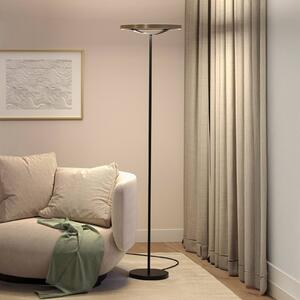 Paulmann LED stojacia lampa Melira, čierna/zlatá, výška 157 cm, Čierna, Obývacia izba / jedáleň, kov, Moderný