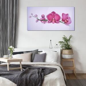 Skleneny obraz Akvarel kvetina vetva orchidea