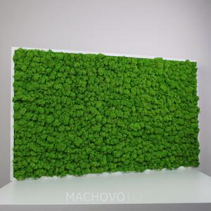 Machový obraz - obdĺžnik - lišajník