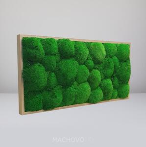 Machový obraz - obdĺžnik - kopcovitý