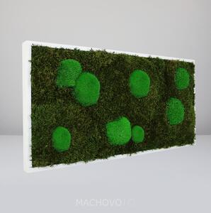 Machový obraz - obdĺžnik - plochý s kopcovitým