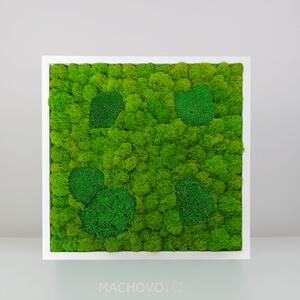 Machový obraz - štvorec - kopcovitý s lišajníkom