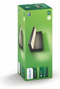 Philips 16483/93/P0 - LED vonkajšie nástenné svietidlo BUSTAN 2xLED/4,5W IP44