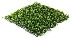 Umelý živý plot Hawaj Buxus High | stena 100 x 100 cm