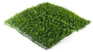 Umelý živý plot Hawaj Buxus High zelený | stena 100 x 100 cm