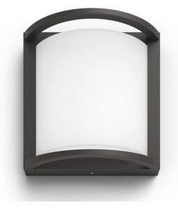 Philips Massive 17391/93/P3 - LED Vonkajšie nástenné svietidlo LED/12W/230V IP44