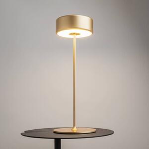 Maytoni LED dobíjacia stolová lampa AI Collaboration, hliník, zlatá
