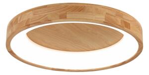 Brilagi-LED Stropné svietidlo FALCON WOOD LED/40W/230V 3000/4000/6000K 60 cm drevo