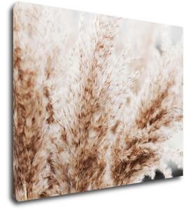 Impresi Obraz Suchá tráva škandinávsky štýl - 90 x 70 cm