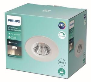 Philips - LED Stmievateľné kúpeľňové svietidlo DIVE LED/5,5W/230V 2700K IP65