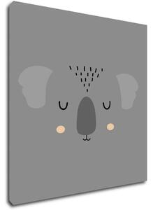Impresi Obraz Koala ilustrácie - 20 x 20 cm