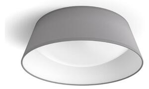 Philips - LED Stropné svietidlo DAWN LED/14W/230V šedá