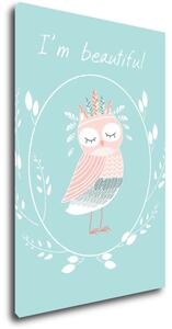 Impresi Obraz I'm beautiful owl - 20 x 30 cm