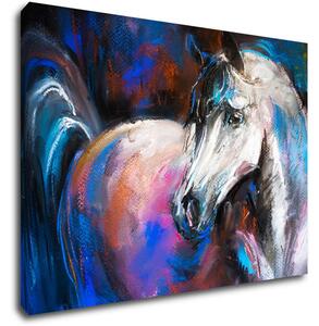 Impresi Obraz Farebný kôň - 70 x 50 cm