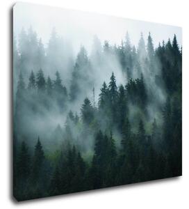 Impresi Obraz Les v hmle - 90 x 70 cm