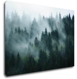 Impresi Obraz Les v hmle - 70 x 50 cm