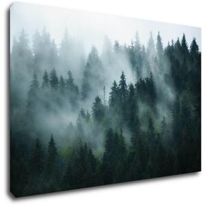 Impresi Obraz Les v hmle - 60 x 40 cm