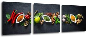 Impresi Obraz Druhy korenie - 90 x 30 cm (3 dielny)