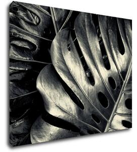 Impresi Obraz Detail listov - 90 x 70 cm