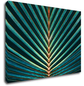 Impresi Obraz Palmový list - 70 x 50 cm