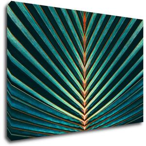 Impresi Obraz Palmový list - 60 x 40 cm
